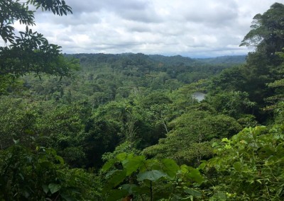 Thousands of hectars of pristine rainforest around us
