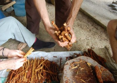 ayahuasca medicine at ayahuasca retreat center in ecuador