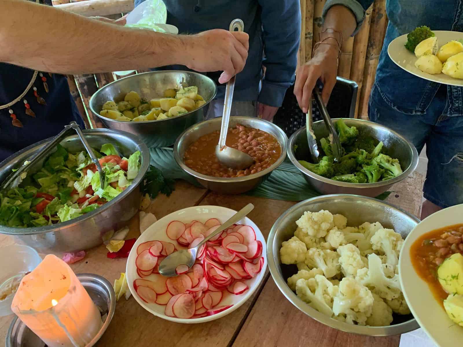 ayahuasca medicine at ayahuasca retreat center in ecuador