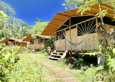 ayahuasca retreat space