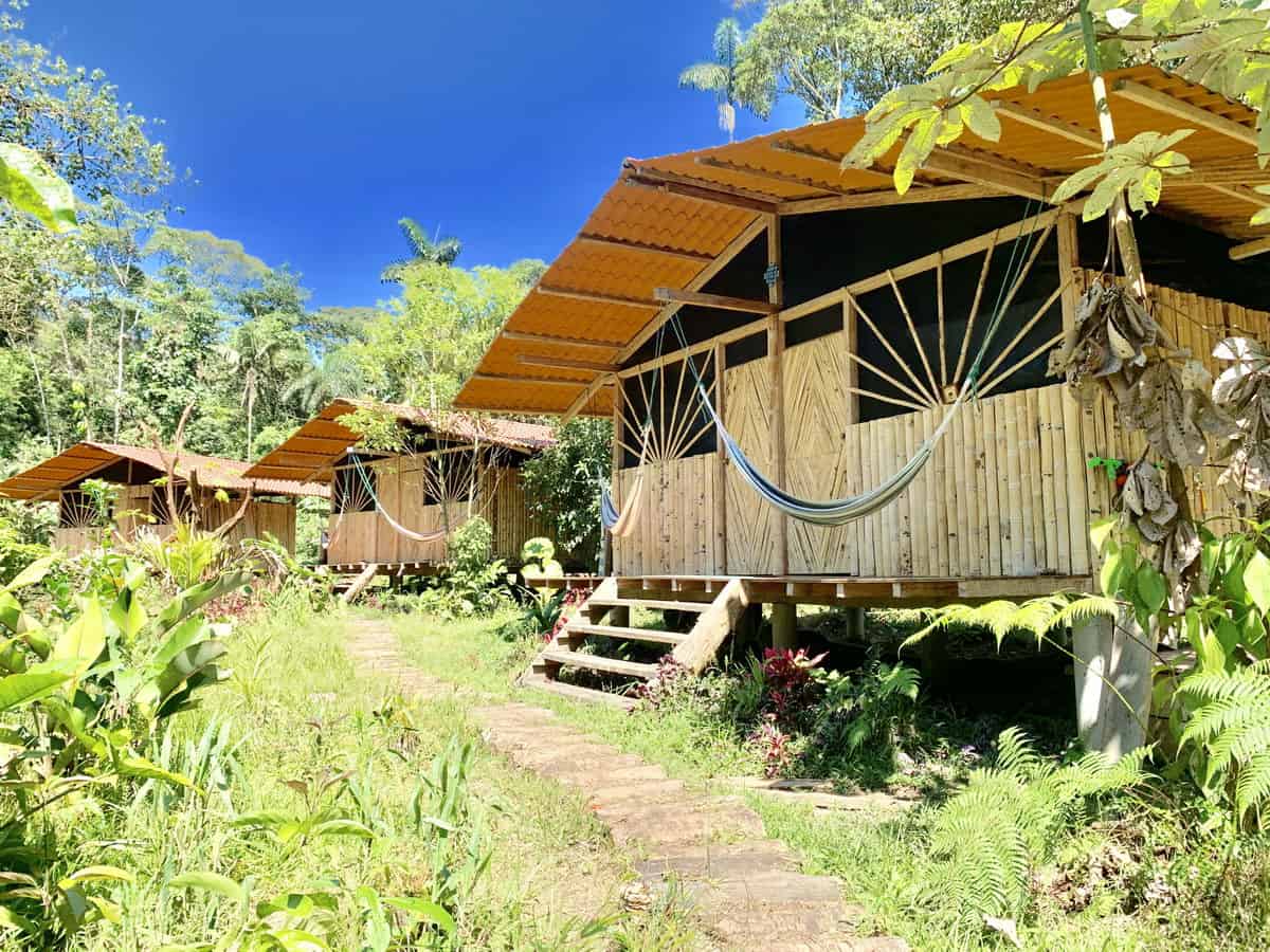 ayahuasca retreat space