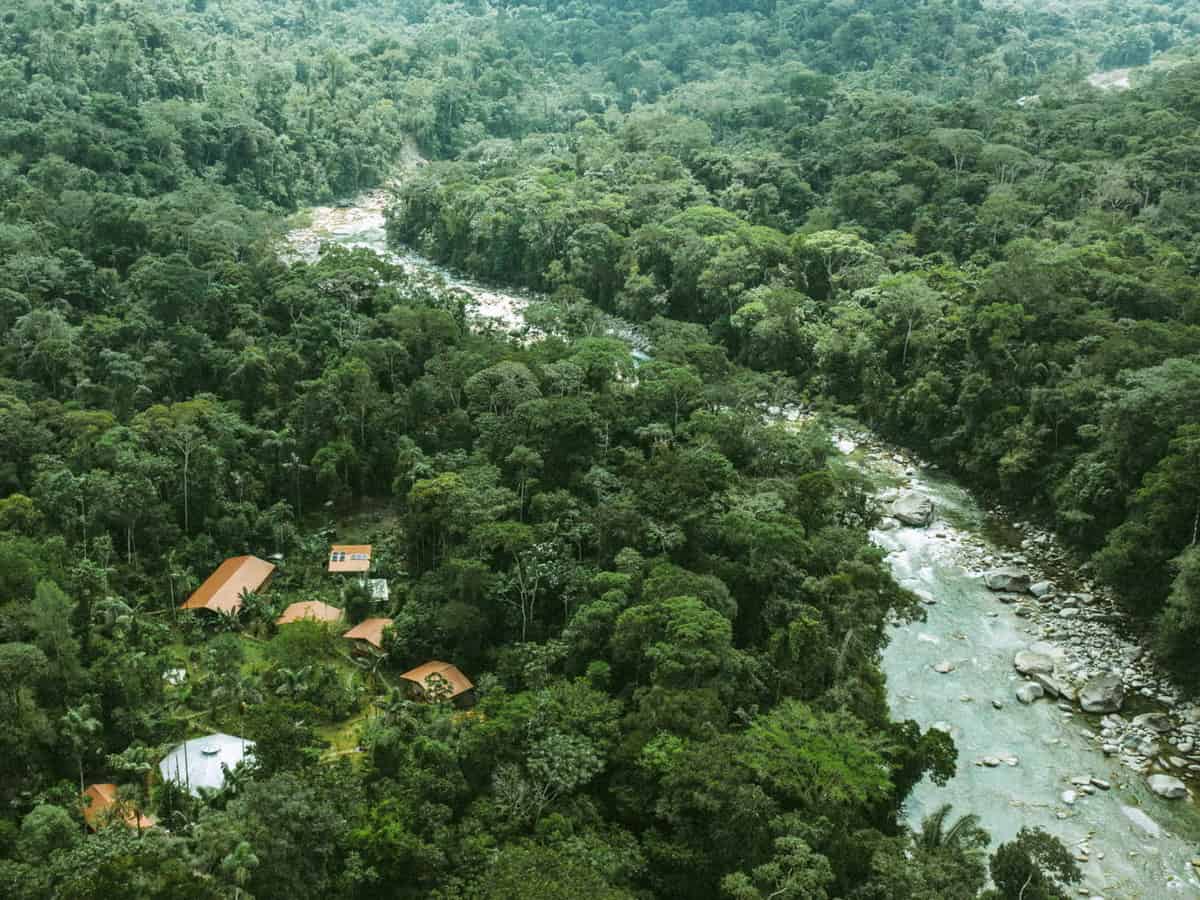 ayahuasca retreat in ecuador