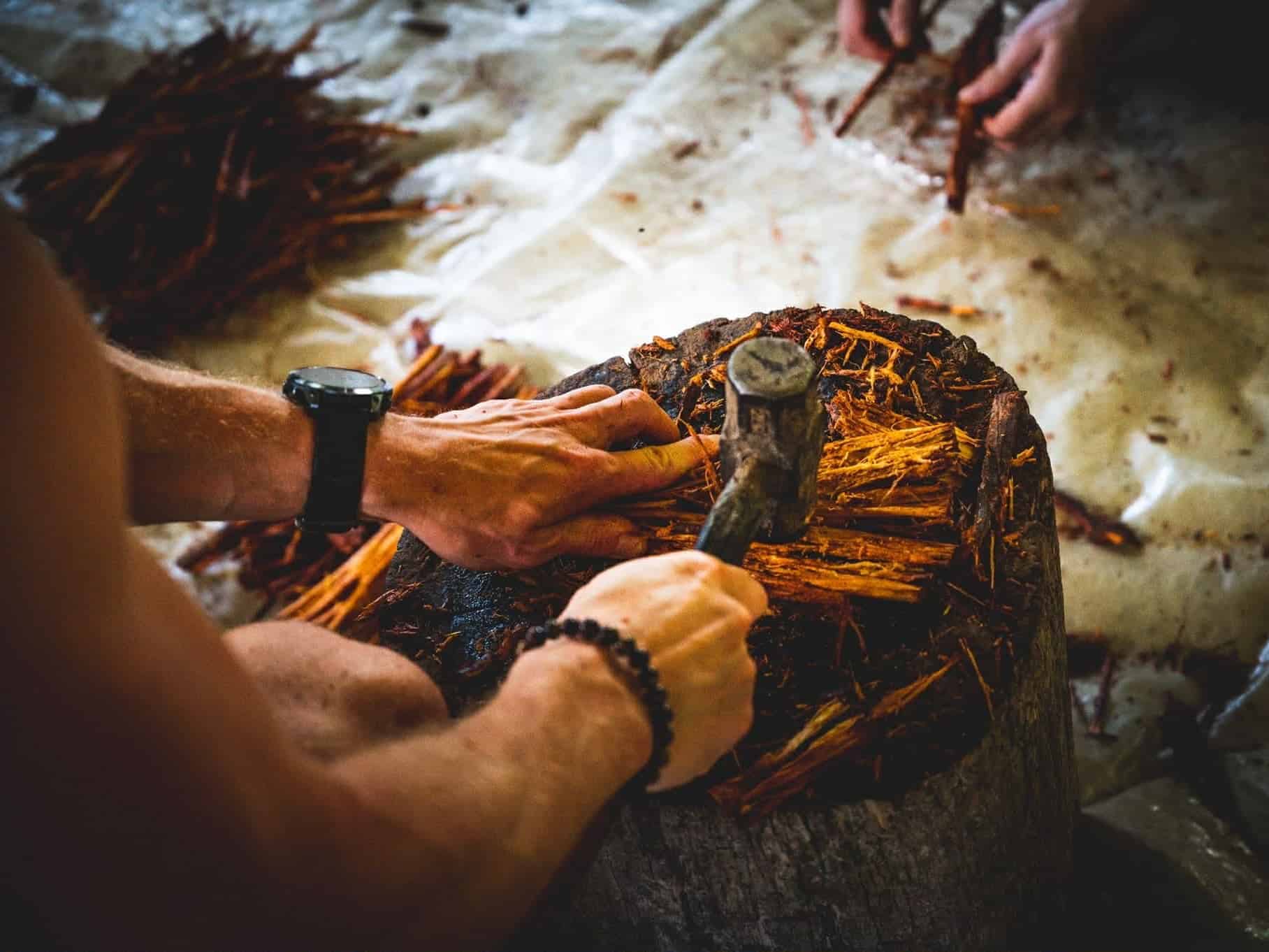 ayahuasca ecuador preparation